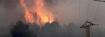 Природный парк  Монтго вблизи Дении пострадал от пожара