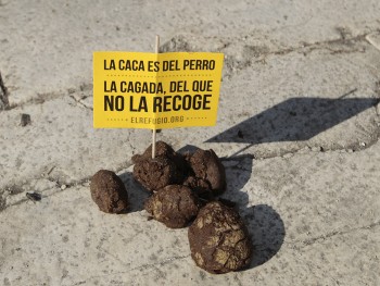 Как в Испании борются с нерадивыми владельцами собак